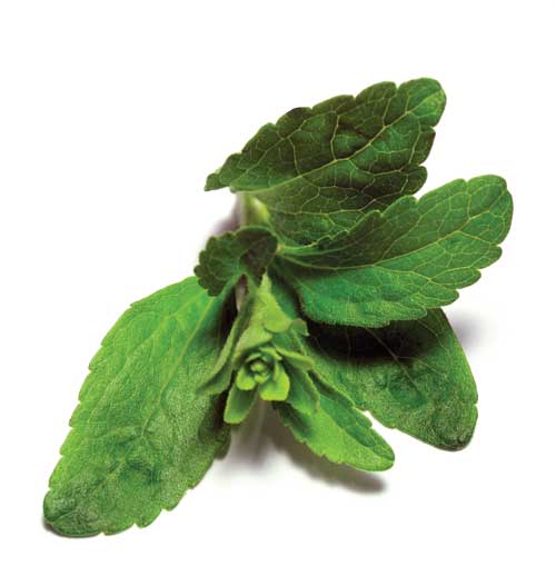 Reader Evelyn Anderson discusses some of the pros and cons of stevia.